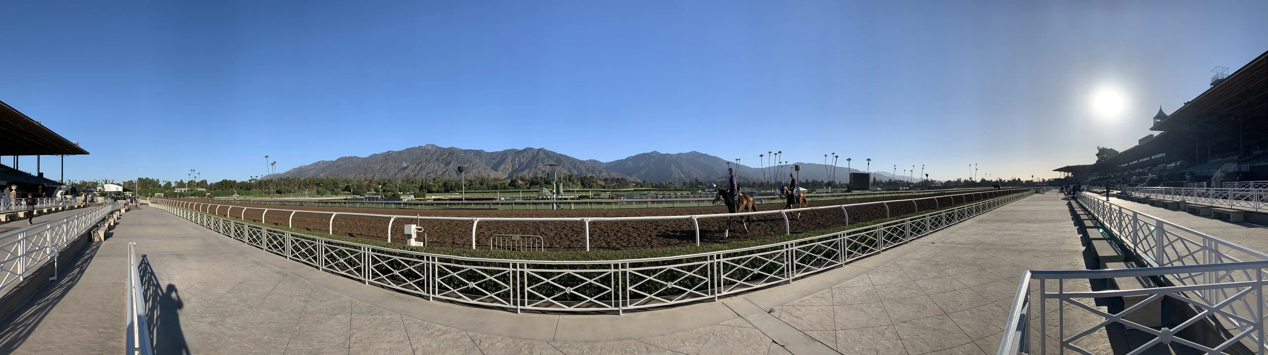 馬場 2025 NEW ORDER CHOPPER SHOW】 #ARAKIFMACHINE #荒木エフマシン